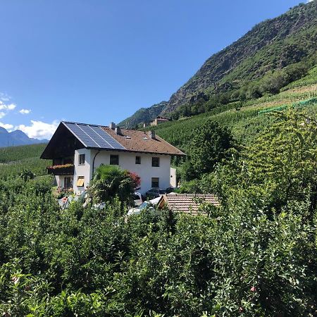 Pixnerhof - Urlaub Am Biohof Apartment Кастелбело Екстериор снимка