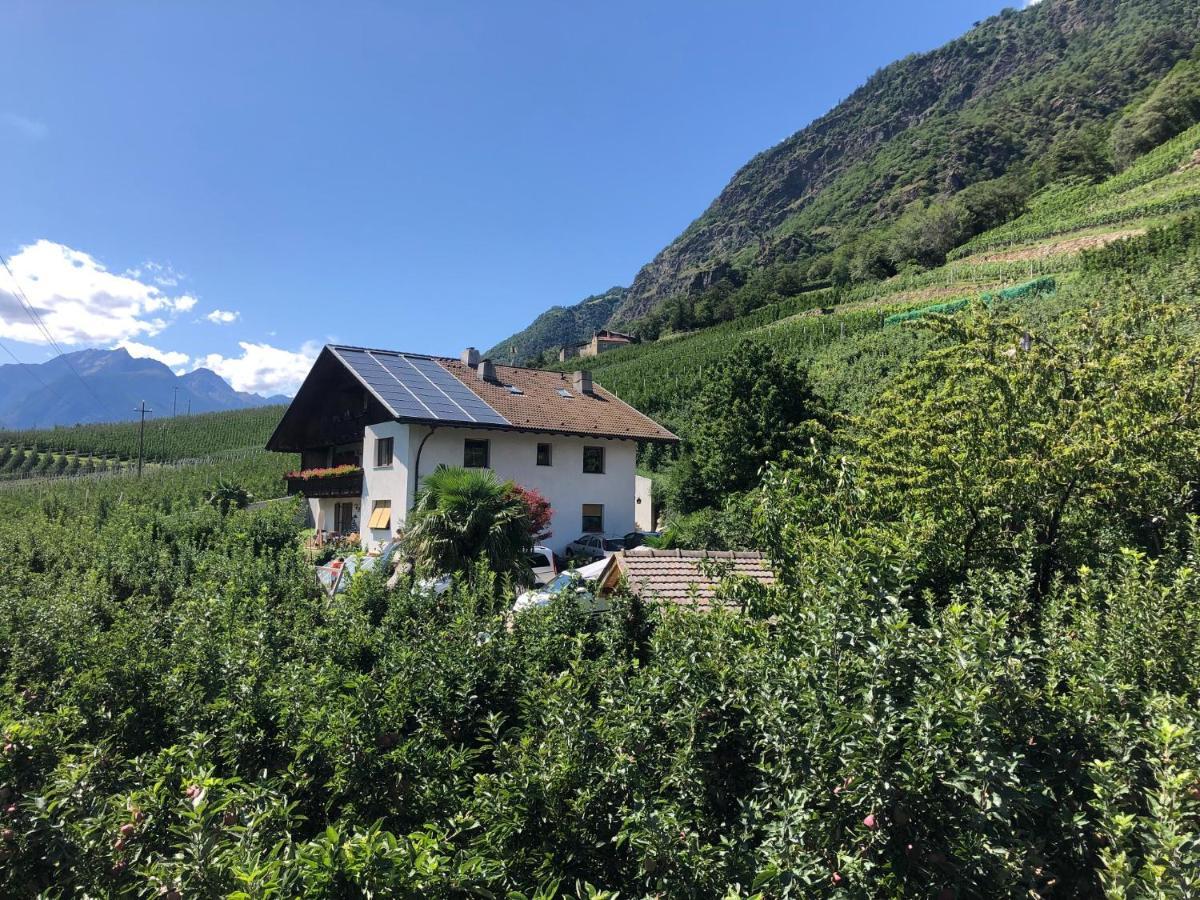 Pixnerhof - Urlaub Am Biohof Apartment Кастелбело Екстериор снимка
