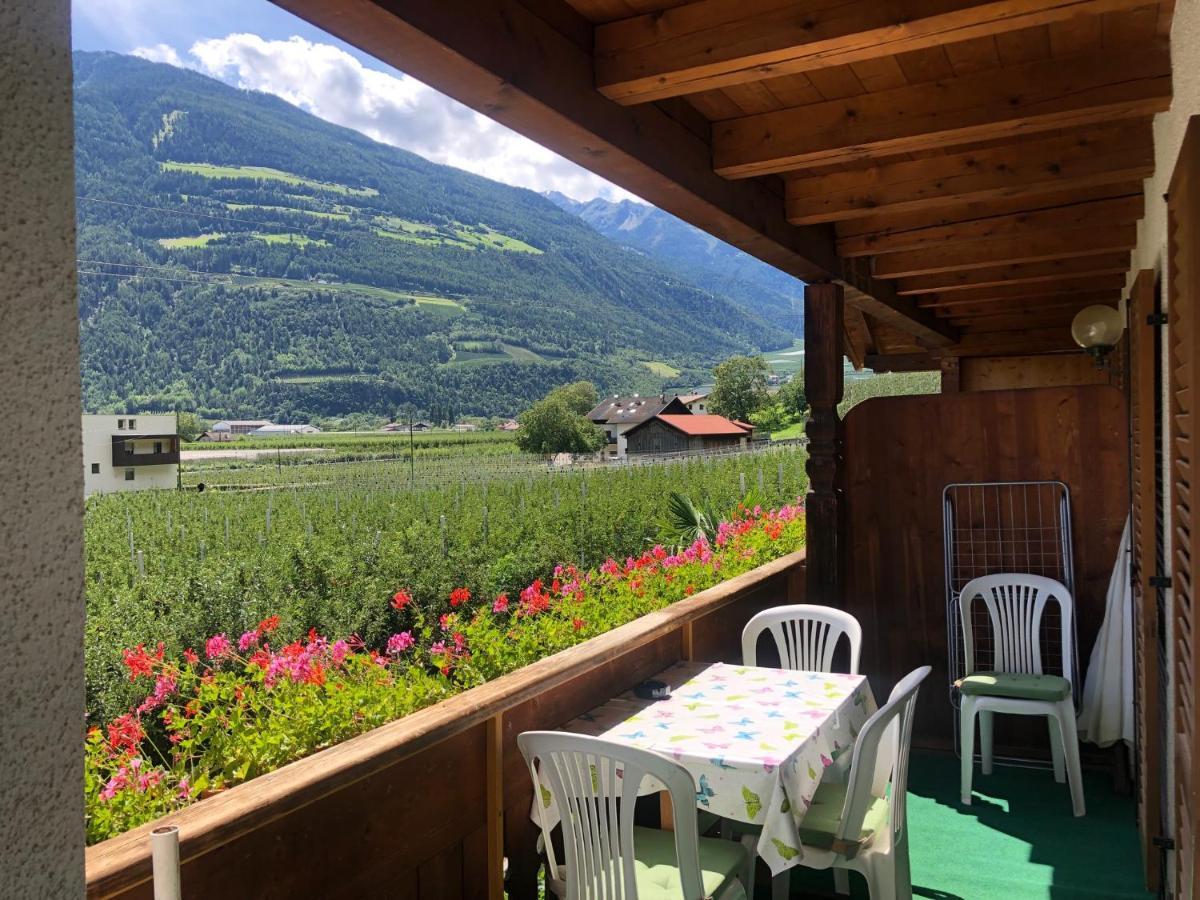 Pixnerhof - Urlaub Am Biohof Apartment Кастелбело Екстериор снимка