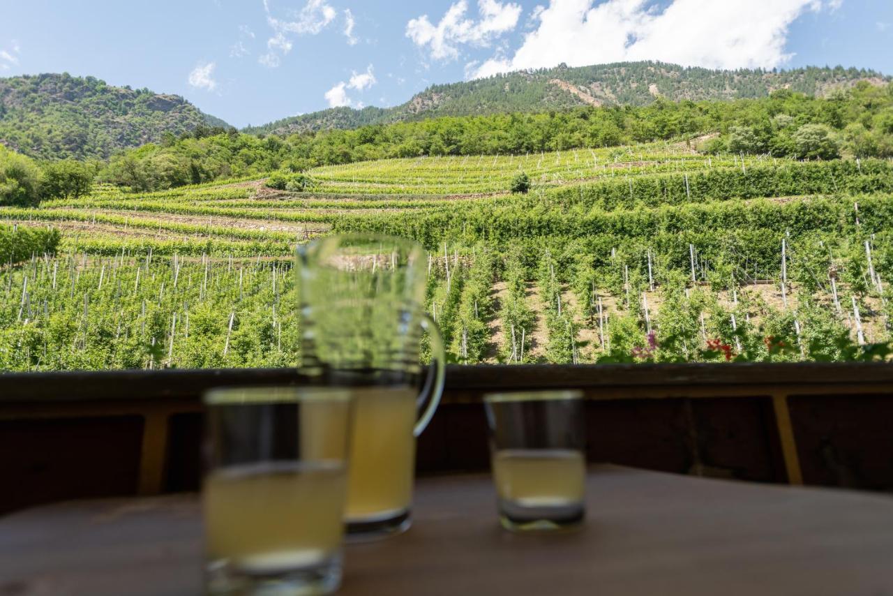 Pixnerhof - Urlaub Am Biohof Apartment Кастелбело Екстериор снимка